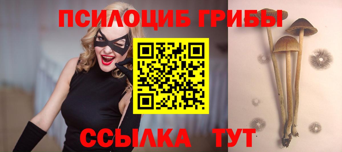Псилоцибиновые грибы мицелий  Вход с VPN  Камышин  Галлюциногенные грибы Psilocybe 